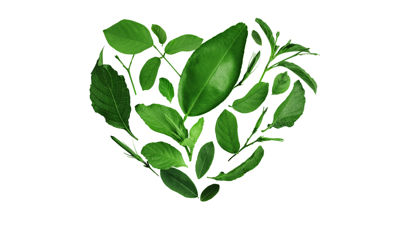 Leaf Heart Icon